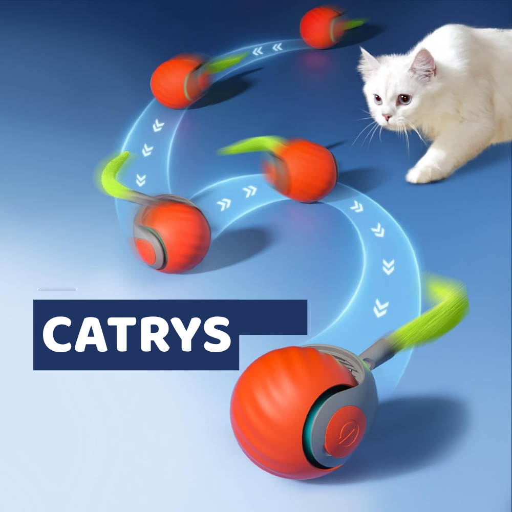 Catrys Ball